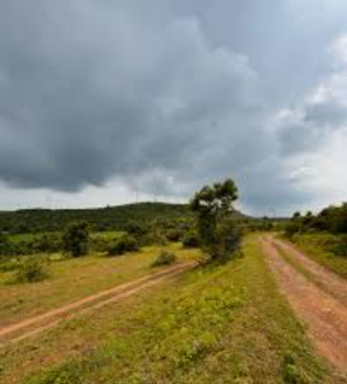 500 Sq. Yards Agricultural/Farm Land for Sale in Sri Madhopur, Sikar