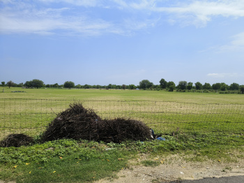Agricultural/Farm Land for Sale in Sri Madhopur, Sikar (10 Bigha)