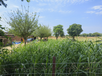 Property for sale in Sri Madhopur, Sikar
