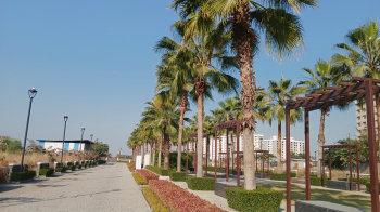 Residential Plot for Sale in Super Corridor, Indore (1000 Sq.ft.)