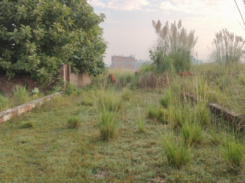 Property for sale in Barwala, Hisar