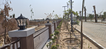 JDA Approved Farm house land in tonk road