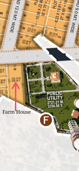 Open land for Farm house in tonk road