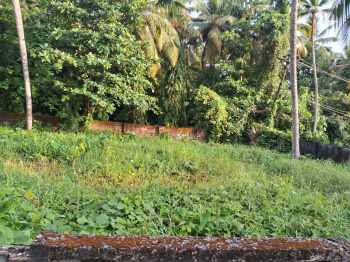 Residential Plot for Sale in Eroor, Ernakulam (10 Cent)