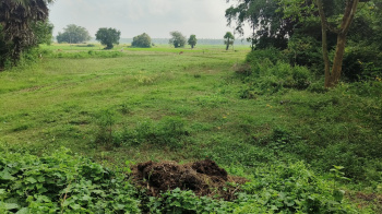 Industrial Land / Plot for Sale in Tarapith, Birbhum (50 Bigha)