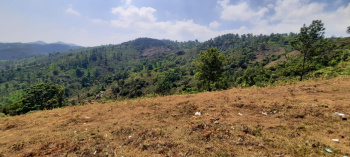 Property for sale in Kodaikanal, Dindigul