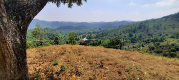 1 Acre Agricultural/Farm Land for Sale in Kodaikanal, Dindigul