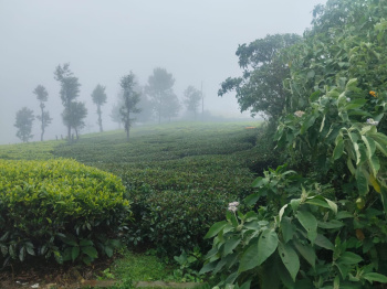 Property for sale in Yercaud, Salem