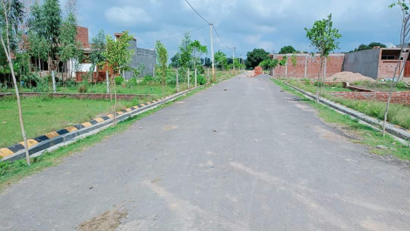 1200 Sq.ft. Residential Plot for Sale in Gosaiganj, Lucknow