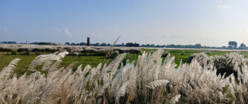 Property for sale in Turki, Muzaffarpur