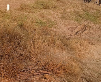 Property for sale in Khushrupur, Patna