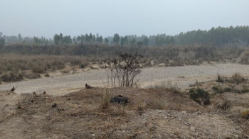 1800 Sq.ft. Residential Plot for Sale in Pithoria, Ranchi