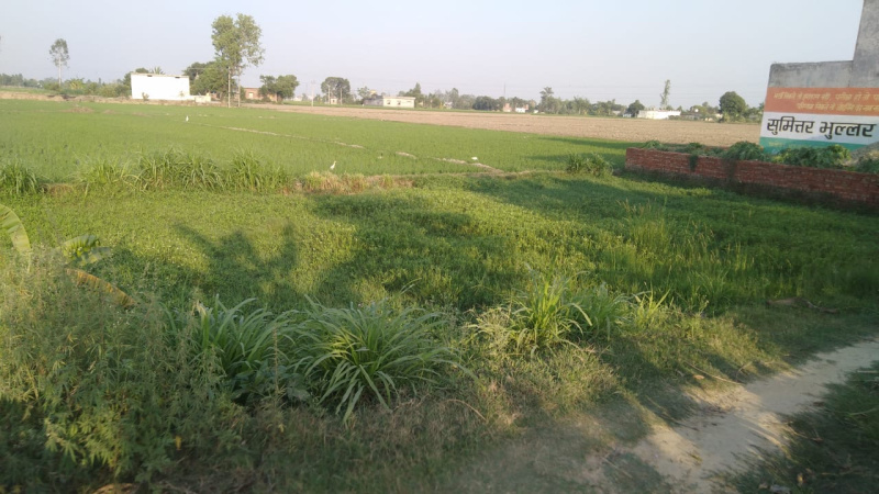 15 Acre Agricultural/Farm Land For Sale In Ramnagar Road, Kashipur
