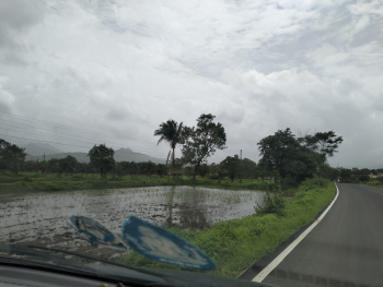 Land of investment or project.