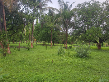 5 Acre to 20Acre industrial land for sale.