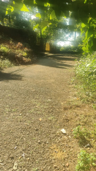 Plot for sale in village saate , Maval