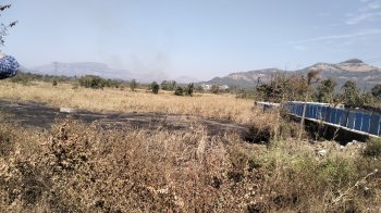 Clear title land for plotting development.