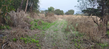 Property for sale in Padgha, Thane