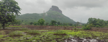 Residential Plot for Sale in Vile Bhagad MIDC, Raigad (56 Acre)