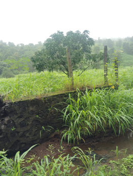 Agricultural/Farm Land for Sale in Mandwa, Raigad (400 Acre)