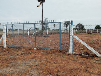 50 Agri land for sale near palladam mangalam Road