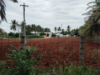 50 cent farm land near kallampalayam