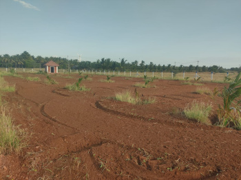 1.71 Acre Agricultural/Farm Land for Sale in Periyandipalayam, Tirupur