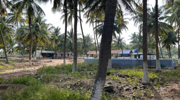 17 Acre coconut farm near kundadam