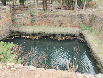 16 acre coconut farm land with blendy of water source