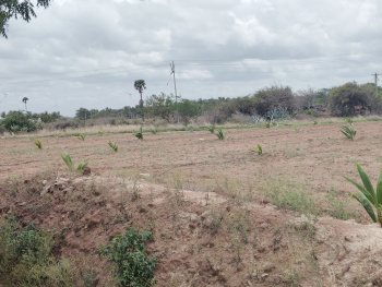 4.5 Acre agriculture land with coconut tree 2 yrs