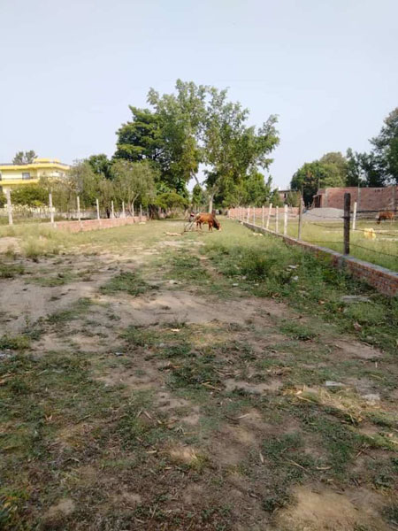 154 Sq. Yards Residential Plot for Sale in Nanda Ki Chowki, Dehradun
