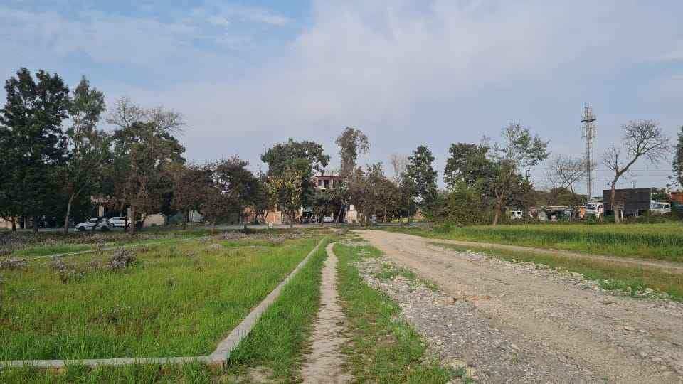 Semi commercial plot near sara indestry chota Rampur