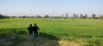 Property for sale in Selakui, Dehradun