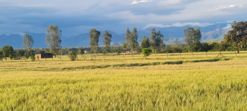 Property for sale in Selakui, Dehradun