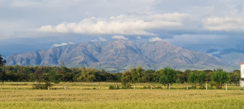 Property for sale in Selakui, Dehradun