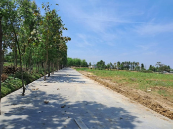 Property for sale in Badowala, Dehradun