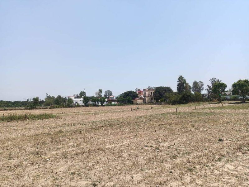 200 Sq.ft. Residential Plot for Sale in Selaqui, Dehradun