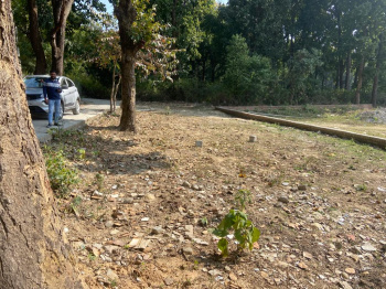 30x60 plot R3 land, lone available, dholash dehradun