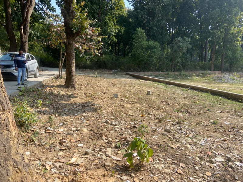 30x60 plot R3 land, lone available, dholash dehradun