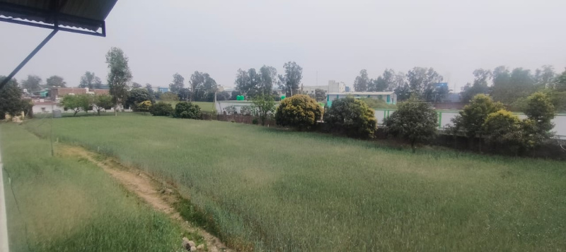 150 Sq. Yards Residential Plot for Sale in Selaqui, Dehradun