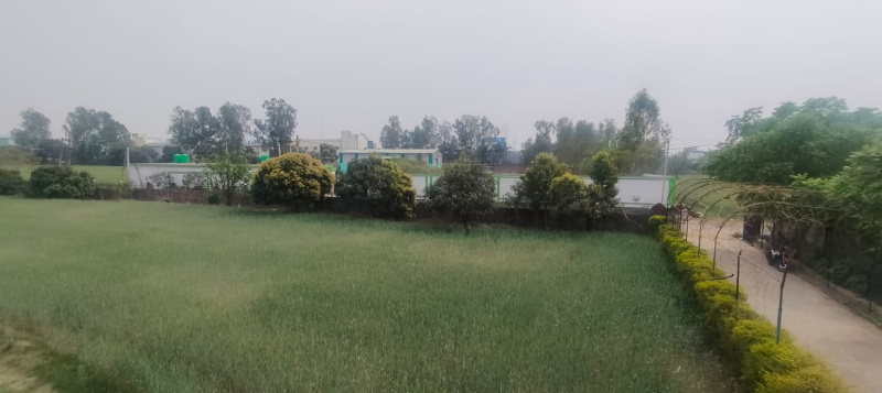 150 Sq. Yards Residential Plot for Sale in Selaqui, Dehradun