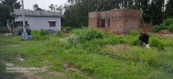 114 Sq. Yards Residential Plot for Sale in Dholas, Dehradun