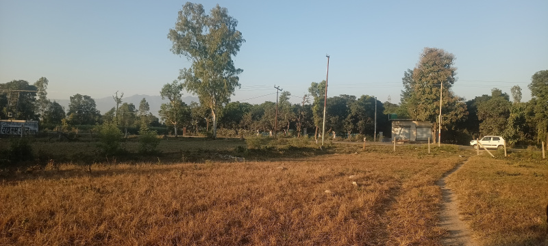 31000 Sq. Yards Residential Plot for Sale in Pondha, Dehradun