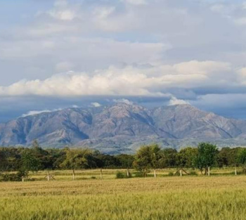 Property for sale in Selakui, Dehradun