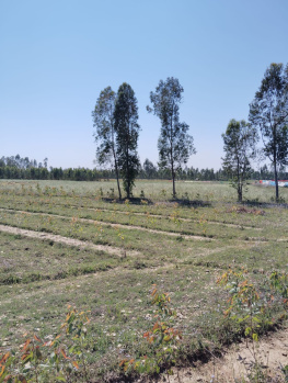Property for sale in Behat, Saharanpur