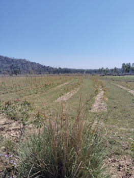 Property for sale in Behat, Saharanpur