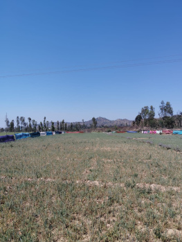 Property for sale in Behat, Saharanpur
