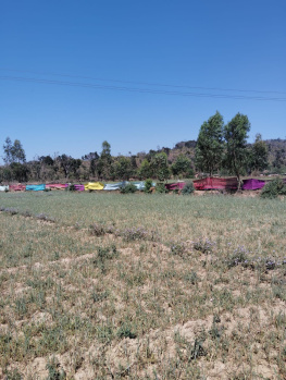 Property for sale in Behat, Saharanpur