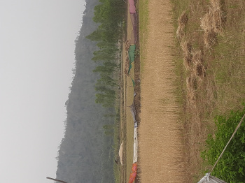 Property for sale in Behat, Saharanpur