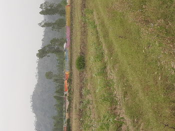 Property for sale in Behat, Saharanpur